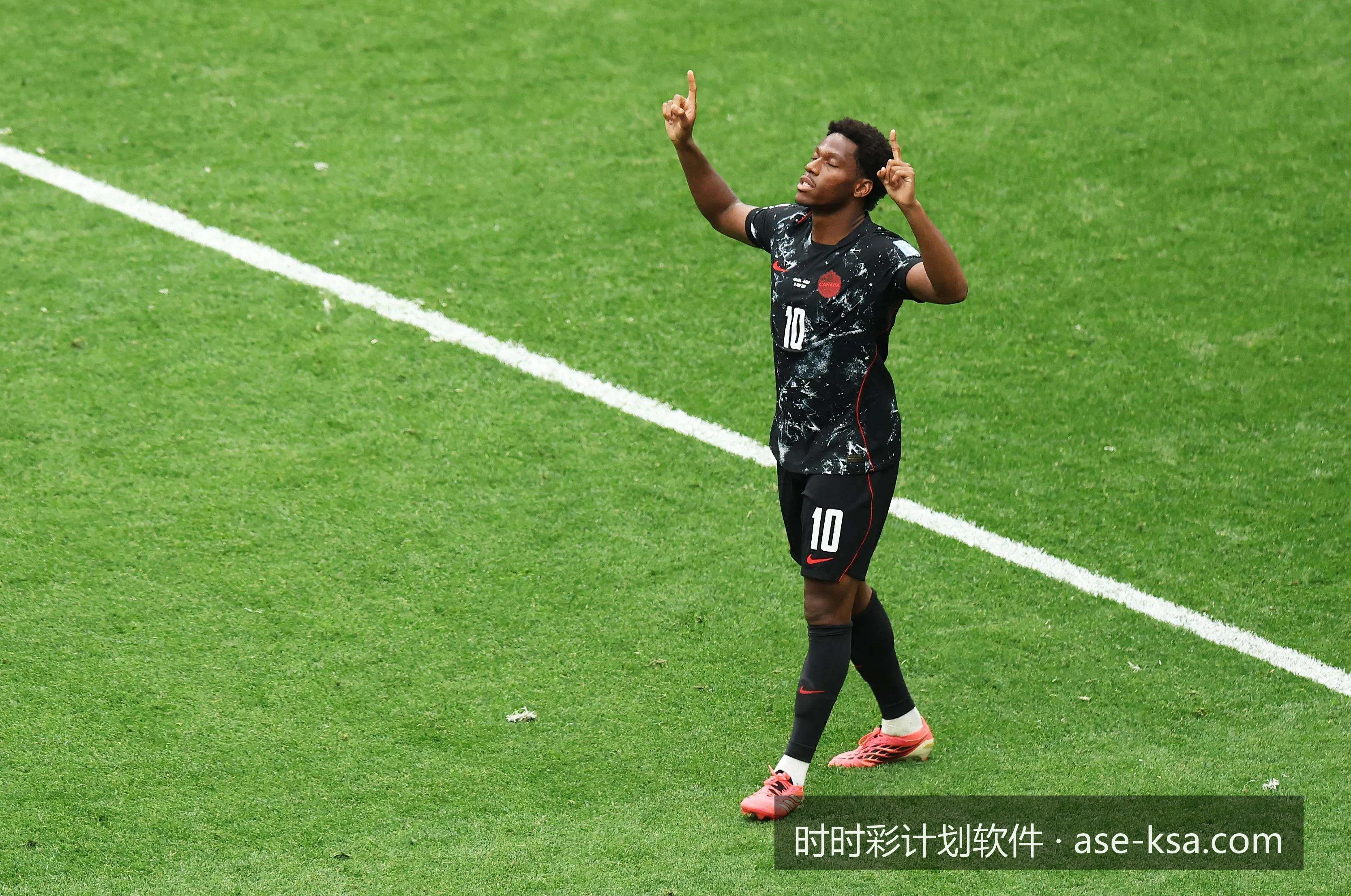 盘点2026年五大主流体育彩票辅助工具与计划软件功能对比